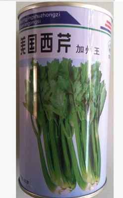 美国引进 特选加州王西芹菜种子 西芹 单株1.5kg 纤维少