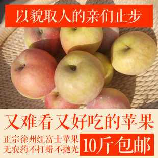 正宗徐州红富士 丑苹果新鲜苹果1箱10斤批发包邮 糖心脆甜汁多