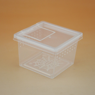 塑料饲养盒 昆虫幼体饲养盒 爬虫盒 昆虫盒 布丁盒 繁殖盒 50个