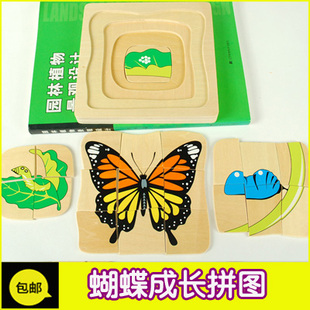 蒙氏幼儿早教 木质智力玩具蝴蝶成长过程 拼图系列动物的成长