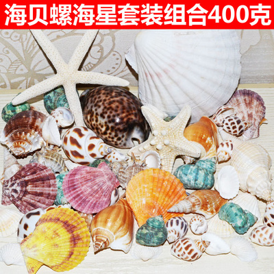 包邮超值装纯天然贝壳海螺海星组合套装鱼缸地台婚礼拍照DIY装饰