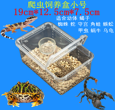 宠物饲养盒爬虫饲养箱蜘蛛守宫蛇蜥蜴蝎子蜈蚣3个包邮