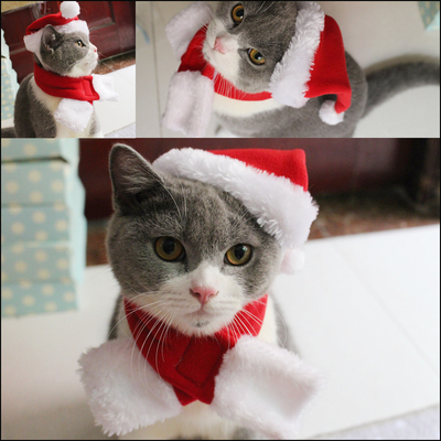 圣诞系宠物帽子围巾套装猫狗服饰节庆生日新年变身装泰迪比熊美短