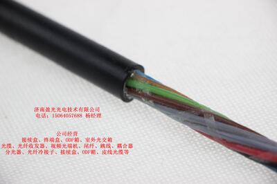 通鼎 烽火 富通  中天 GYTA  GYTS -24B1.3  单模国标电信级光缆