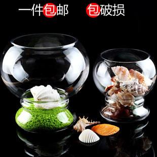 金鱼缸玻璃 水族箱小型创意生态圆形 大号乌龟缸 迷你造景培花瓶