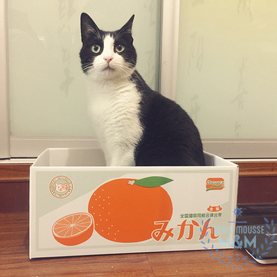 【喵慕斯】喵的箱可以磨爪的纸箱猫窝猫玩具可爱的猫爪板三款选