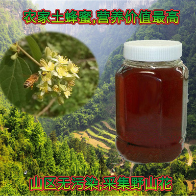 甘肃农家纯天然土蜂蜜 野蜂蜂蜜 采集百花土蜂蜜美容养生滋补包邮