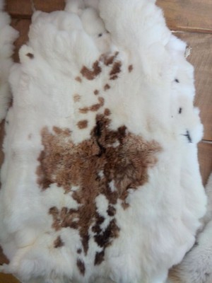 优质整张獭兔皮兔皮整张DIY专用护膝护腰围脖獭兔皮材原料袖内胆