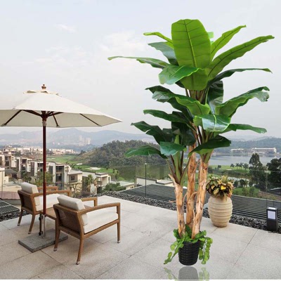 高档新款家居装饰室外大型热带仿真植物树香蕉橡胶芭蕉树