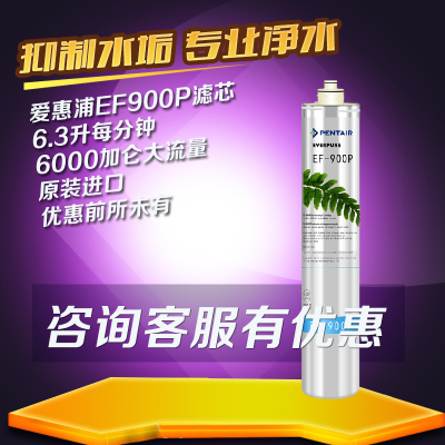 美国爱惠浦EF-900P净水器主滤芯 家用ef900p正品 特价