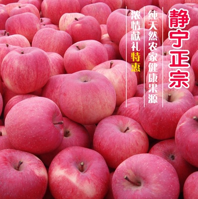 静宁苹果水果新鲜栖霞红富士75/80有机特产批发特价包邮非烟台