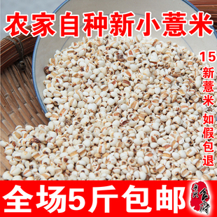 山东特产优质薏米特香级无糖小薏米仁五谷杂粮方便易食包邮 250g
