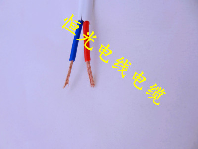 电线电缆 RVV 2*0. 5平方 2芯护套线 控制线 信号线 电源线