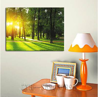 7风景画客厅现代简约装饰画沙发背景挂画无框画 单联画 树林 阳光
