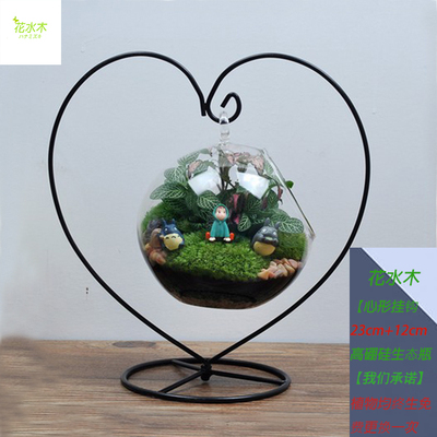 微景观玻璃生态瓶 苔藓创意植物 迷你盆栽 DIY办公桌摆件微观盆景