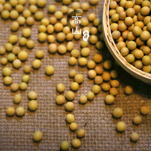 黄豆 农家自种有机黄豆 非转基因大豆 纯天然农家特产黄豆 发豆芽