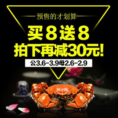 预售固城湖大闸蟹公3.6-3.9母2.6-2.9两鲜活螃蟹买8送8促