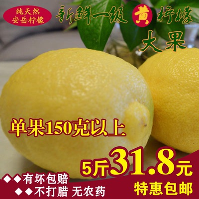 新鲜柠檬安岳黄柠檬新鲜一级水果优质大果大柠檬5斤装包邮 坏包赔