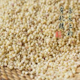 莫言故乡农家自制去皮高粱米 有机红高粱米 250g杂粮助消化满
