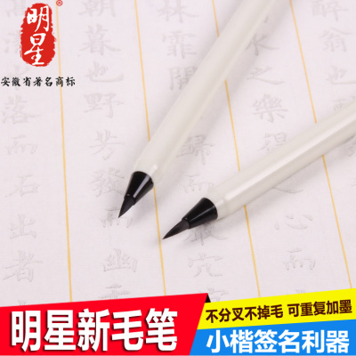 小楷新毛笔书法入门字帖专用书法软笔钢笔式毛笔自来水软头笔包邮