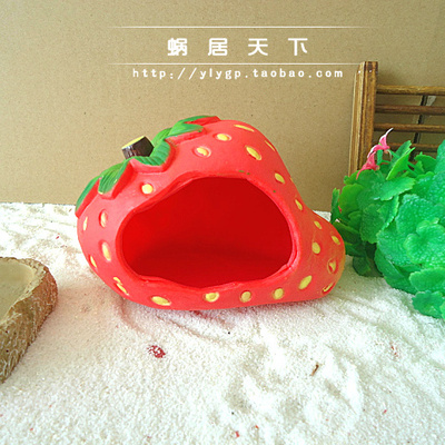 【草莓屋】1-6cm寄居蟹可用 躲避攀爬塑料小房窝 鲜亮 2015新货