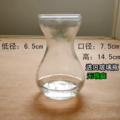 风信子花瓶 水培瓶 鲜花玻璃透明花瓶 绿萝吊篮器皿玻璃插花瓶