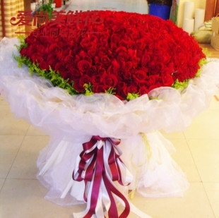 上海花店上海送花实拍！365 520 999朵红玫瑰鲜花情人节送花礼物