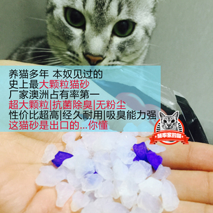 频率家的猫 出口超大颗粒水晶猫砂 无粉尘超耐用除臭杀菌猫沙3.8L