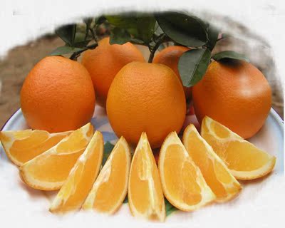 四川攀枝花纽荷尔脐橙 橙子新鲜水果甜橙香甜多汁10斤28省包邮
