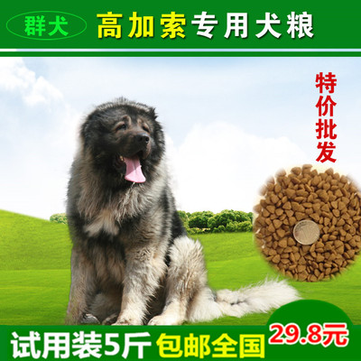 群犬高加索成犬幼犬专用狗粮营养犬主粮2.5kg/5斤试用装批发价