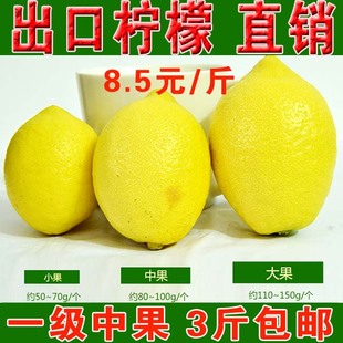 新鲜水果 安岳特产尤力克进出口级黄柠檬 有机绿色酵素 一级中果
