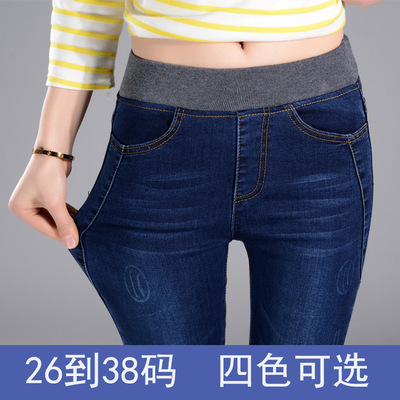 韩版新款保暖女式休闲松紧腰弹力牛仔裤显瘦大码长裤潮一件代发