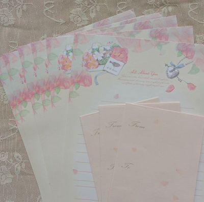 韩国INEU信纸套装 6信纸3信封 心之链 玫瑰花