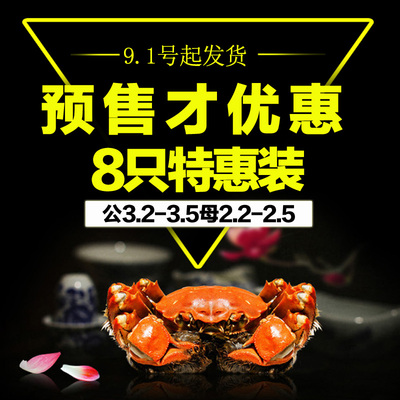 预售固城湖大闸蟹公3.2-3.5母2.2-2.5两鲜活螃蟹8只家庭实惠装促