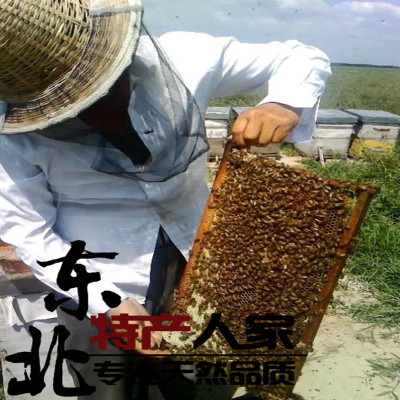 东北特产 野生 紫花苜蓿蜂蜜农家自产 土蜂蜜 纯正 特产蜂蜜