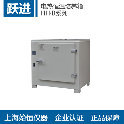 上海跃进 HH·B11·500-BS 电热恒温培养箱