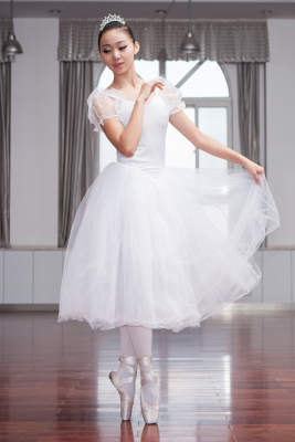 成人专业芭蕾舞蹈演出服装芭蕾舞仙女白纱泡泡袖长裙蓬蓬连体裙