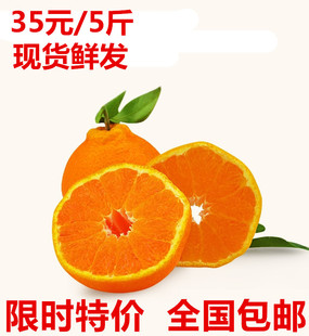 正宗四川蒲江丑柑不知火丑八怪丑橘丑桔33.8元装包邮12月发货