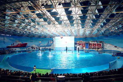 武汉海昌极地海洋世界门票海洋馆成人票学生票双人票