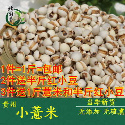 农家自产贵州小粒薏米 白薏仁 小薏米 特价500克薏仁米 薏米