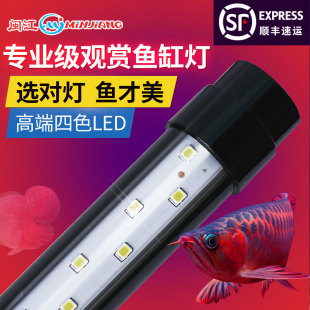 厂家直销原装闽江鱼缸灯水族箱LED灯管鱼缸专用照明灯管超亮节能