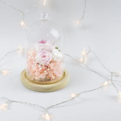[脐]永生花花盒<卡蒂塔的城堡>玻璃罩蓝白粉玫瑰绣球摆件生日礼物