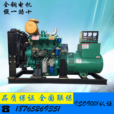 潍坊潍柴系列R4105ZD柴油机发电机组 50千瓦（kw）发电机组用