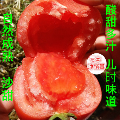 农家自然熟现摘新鲜普罗旺斯西红柿酸甜孕妇番茄宝宝辅食不催熟