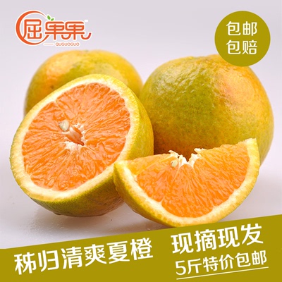 屈果果 秭归脐橙 天然农家橙子 新鲜夏橙酸甜孕妇水果5斤榨汁必备