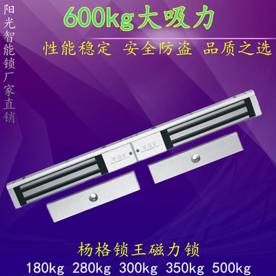 杨格电磁锁门禁锁阳光电控锁杨格锁 双门磁力锁YGS-300MD/MDT/MDL