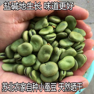 苏北农家自种蚕豆天然晒 生蚕豆胡豆干 新货干蚕豆胡豆 满5斤包邮