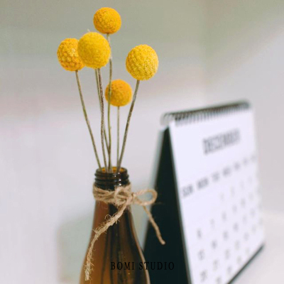 天然植物黄金球干花永生花黄金果金槌花家具装饰摄影摆拍道具干花