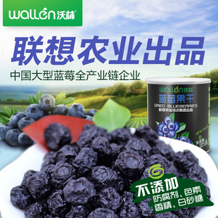 【沃林】蓝莓果干180g 蓝梅干无添加蔗糖 零食干果特产 包邮