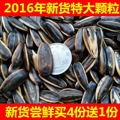 2016年新货山核桃味瓜子500g焦糖瓜子仁卤味黑糖 葵花籽炒货包邮
